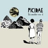 Picidae It`s Another Wor d cover